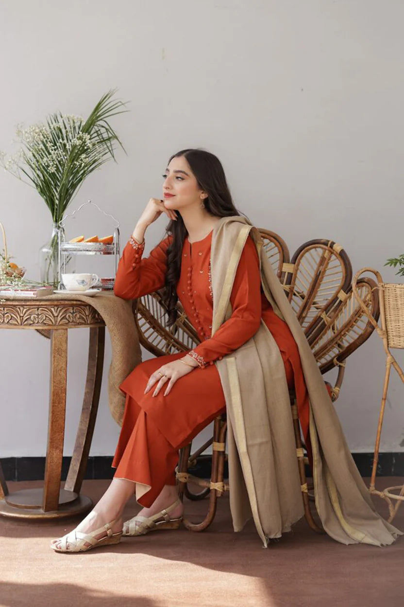 AISLING DHANAK UNSTITCHED EMB 3PC
